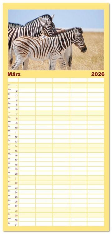 Produktbild: Familienplaner 2026 - Zebras - Die gestreiften Vierbeiner. mit 5 Spalten (Wandkalender, 21 x 45 cm) CALVENDO