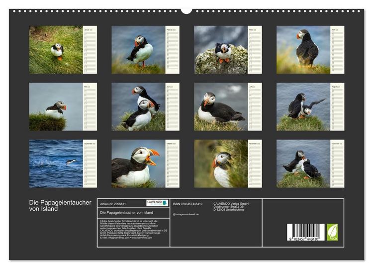 Produktbild: Die Papageientaucher von Island (hochwertiger Premium Wandkalender 2026 DIN A2 quer), Kunstdruck in Hochglanz