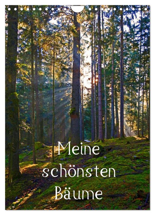 Produktbild: Meine sch&ouml;nsten B&auml;ume (Wandkalender 2026 DIN A4 hoch), CALVENDO Monatskalender