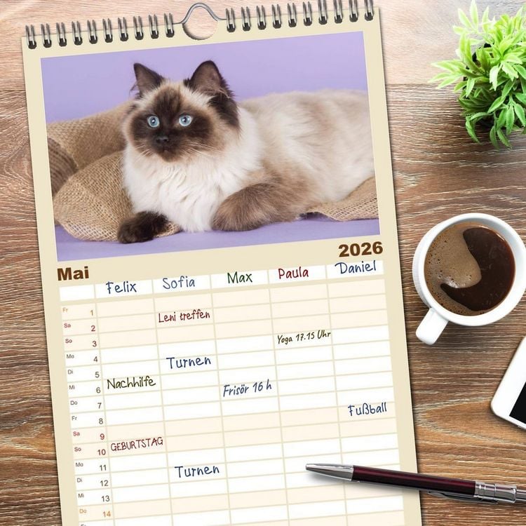 Produktbild: Familienplaner 2026 - Zauberhafte Ragdolls mit 5 Spalten (Wandkalender, 21 x 45 cm) CALVENDO