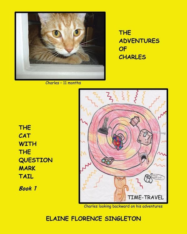 Produktbild: The Adventures of Charles The Cat With The Question Mark Tail
