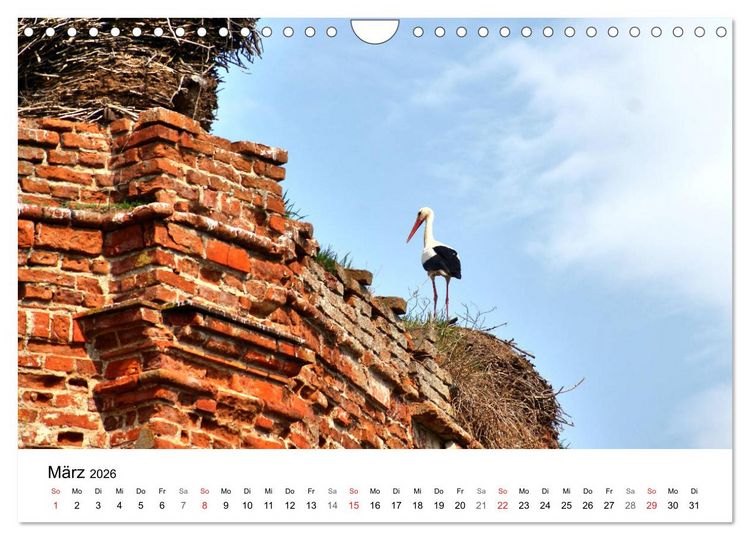 Produktbild: Elchniederung - Naturparadies in Ostpreu&szlig;en (Wandkalender 2026 DIN A4 quer), CALVENDO Monatskalender