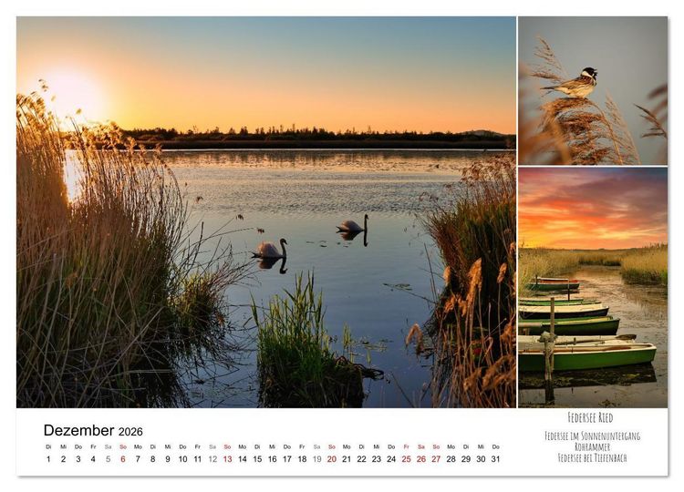 Produktbild: Schwabens Riede und Moore (Wandkalender 2026 DIN A4 quer), CALVENDO Monatskalender
