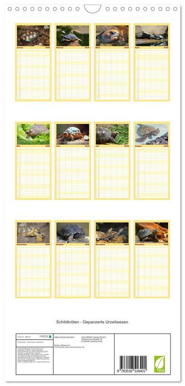 Produktbild: Familienplaner 2026 - Schildkr&ouml;ten - Gepanzerte Urzeitwesen mit 5 Spalten (Wandkalender, 21 x 45 cm) CALVENDO