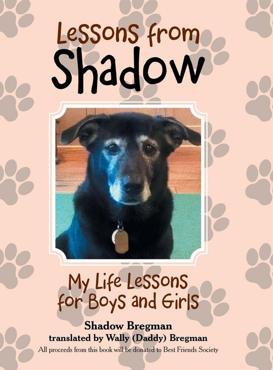 Produktbild: Lessons from Shadow