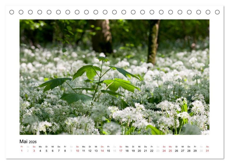 Produktbild: Schwarzwald 2026 (Tischkalender 2026 DIN A5 quer), CALVENDO Monatskalender