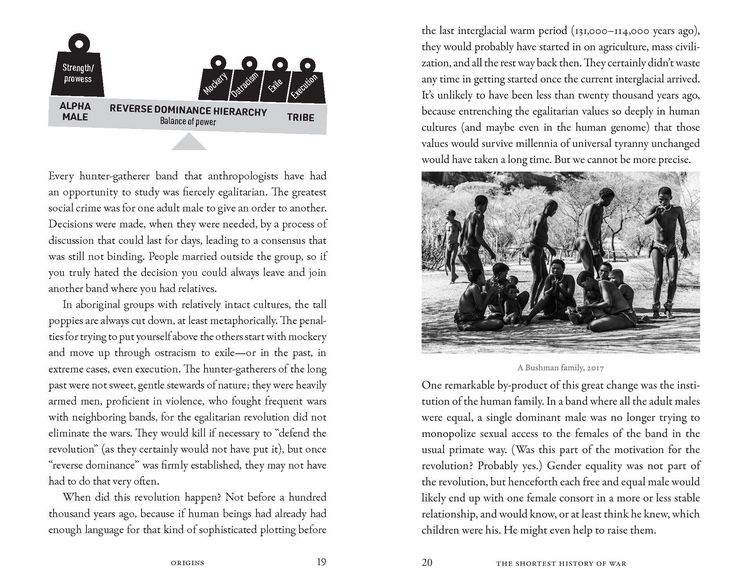 Produktbild: The Shortest History of War