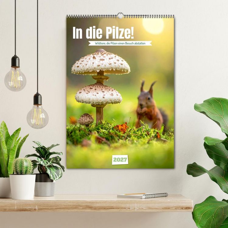Produktbild: In die Pilze (Wandkalender 2027 DIN A2 hoch), CALVENDO Monatskalender