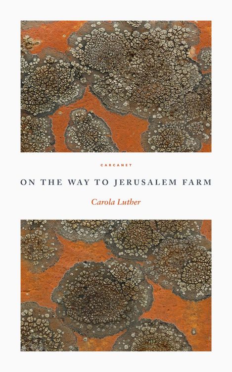 Produktbild: On the Way to Jerusalem Farm