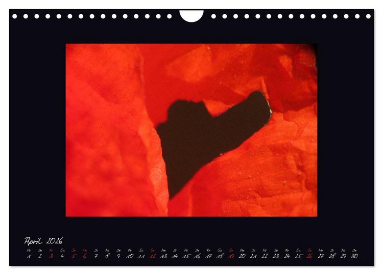 Produktbild: MOHNographie (Wandkalender 2026 DIN A4 quer), CALVENDO Monatskalender