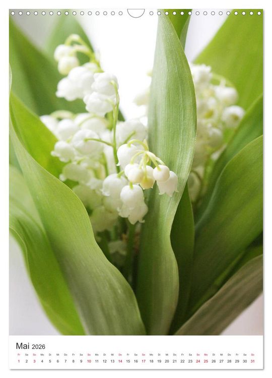 Produktbild: Verliebt in Blumen (Wandkalender 2026 DIN A3 hoch), CALVENDO Monatskalender