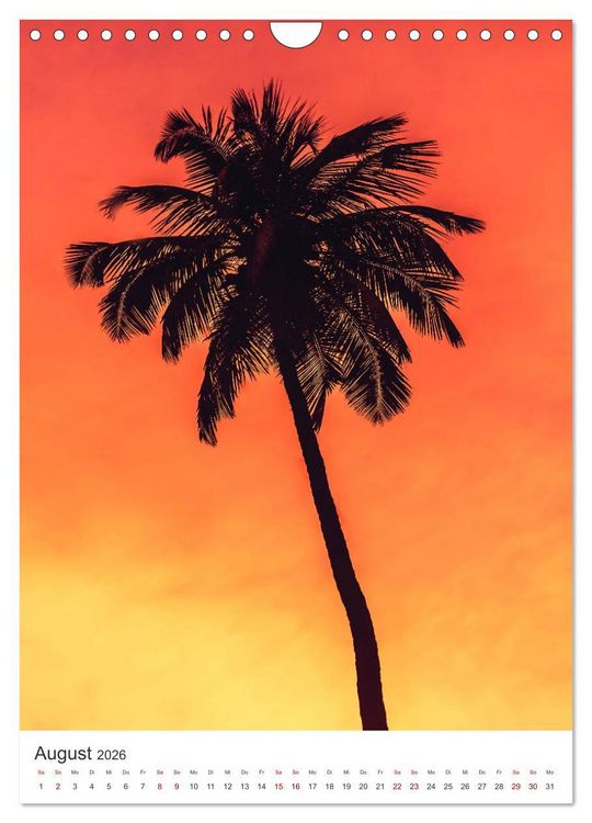 Produktbild: Palm Springs - Immer der Sonne nach. (Wandkalender 2026 DIN A4 hoch), CALVENDO Monatskalender