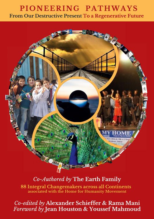 Produktbild: Pioneering Pathways