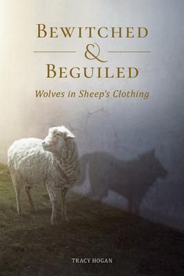 Produktbild: Bewitched and Beguiled