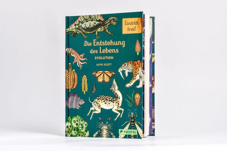 Produktbild: Die Entstehung des Lebens. Evolution