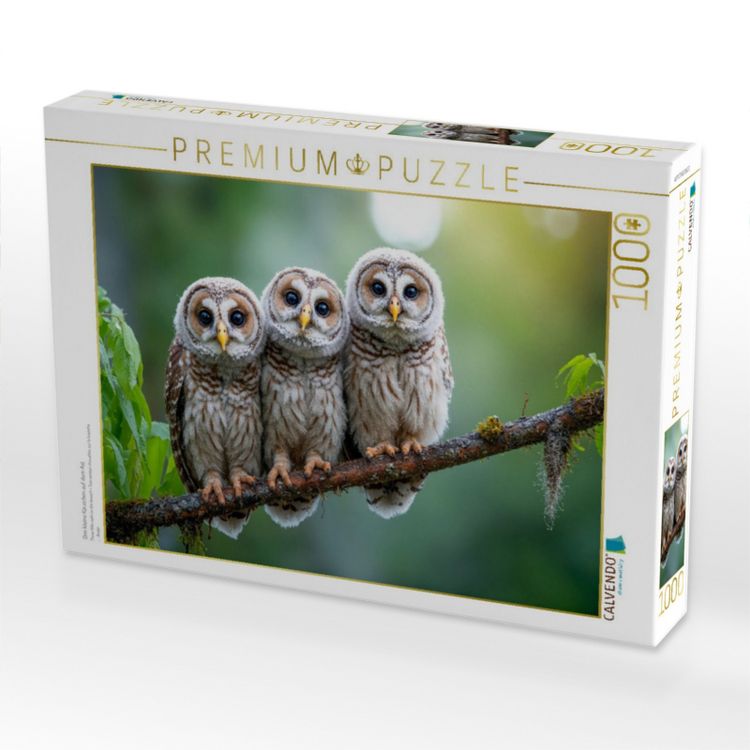Produktbild: CALVENDO Puzzle Drei kleine K&auml;uzchen auf dem Ast | 1000 Teile Lege-Gr&ouml;&szlig;e 64x48cm Foto-Puzzle f&uuml;r gl&uuml;ckliche Stunden