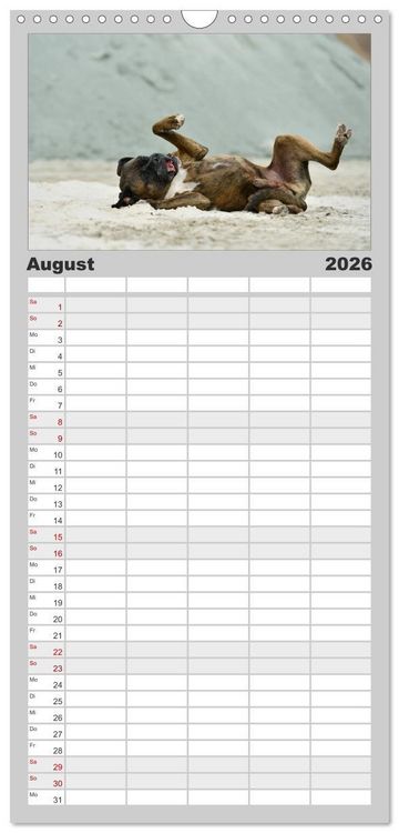 Produktbild: Familienplaner 2026 - Gut - besser - Boxer mit 5 Spalten (Wandkalender, 21 x 45 cm) CALVENDO