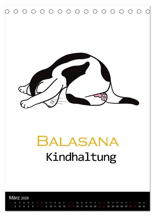 Produktbild: Yogakatzen - ganz entspannt im Hier und Jetzt (Tischkalender 2026 DIN A5 hoch), CALVENDO Monatskalender