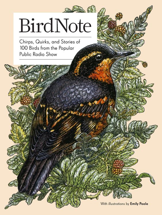 Produktbild: BirdNote