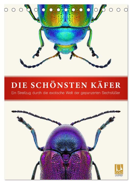 Produktbild: Die sch&ouml;nsten K&auml;fer (Tischkalender 2026 DIN A5 hoch), CALVENDO Monatskalender