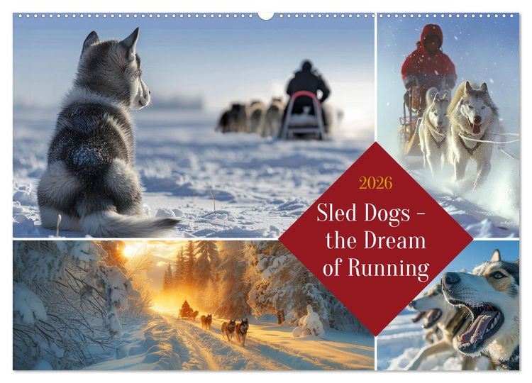 Produktbild: Sled Dogs - the Dream of Running (Wall Calendar 2026 DIN A2 landscape), CALVENDO 12 Month Wall Calendar