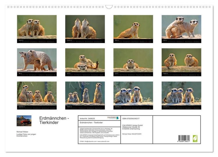 Produktbild: Erdm&auml;nnchen - Tierkinder (Wandkalender 2027 DIN A2 quer), CALVENDO Monatskalender