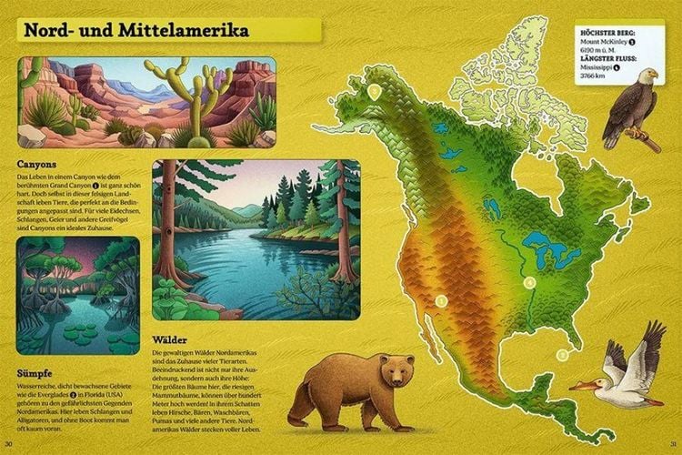Produktbild: Animaps: Eine Reise ins Tierreich.