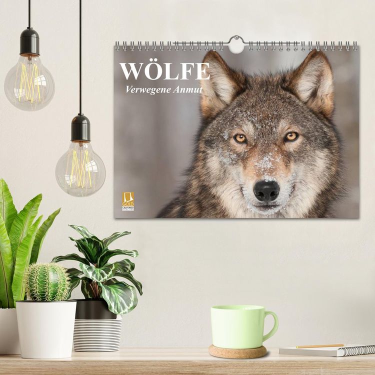 Produktbild: W&ouml;lfe. Verwegene Anmut (Wandkalender 2026 DIN A4 quer), CALVENDO Monatskalender