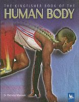 Produktbild: Kingfisher Book of the Human Body
