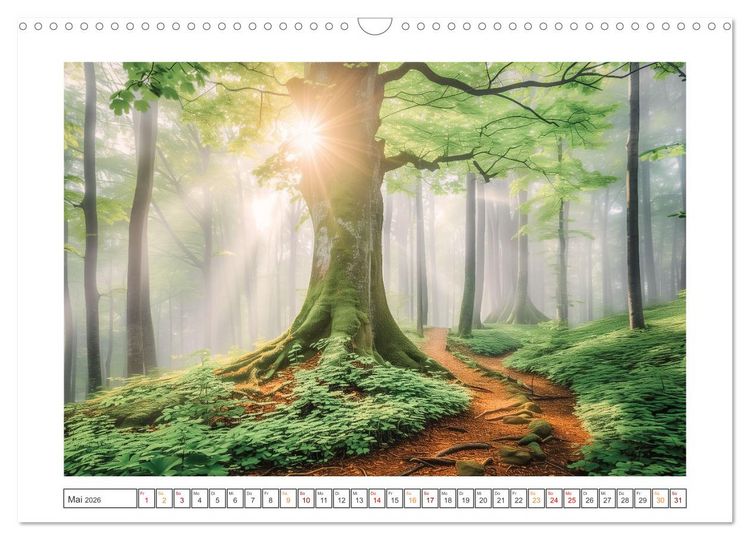 Produktbild: Mystische Wege (Wandkalender 2026 DIN A3 quer), CALVENDO Monatskalender