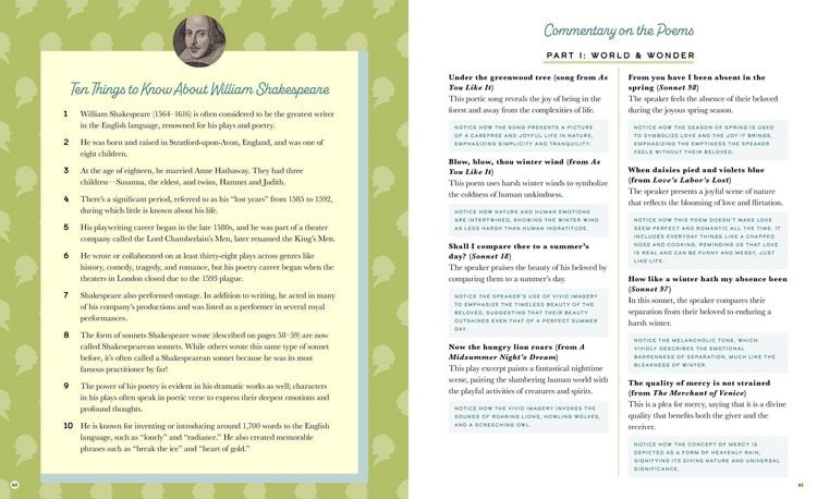 Produktbild: The Illustrated William Shakespeare: 25 Essential Poems