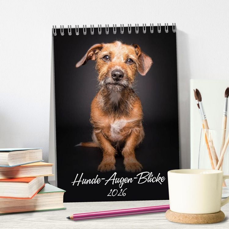 Produktbild: Hunde-Augen-Blicke (Tischkalender 2026 DIN A5 hoch), CALVENDO Monatskalender