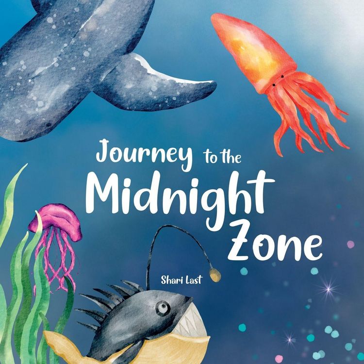 Produktbild: Journey to the Midnight Zone