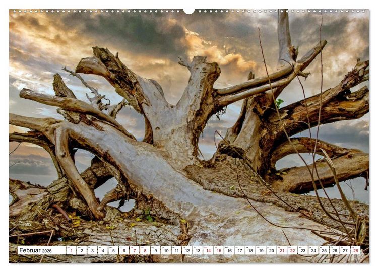 Produktbild: Beckerwitz - Impressionen aus der Wohlenberger Wiek (Wismarer Bucht) (Wandkalender 2026 DIN A2 quer), CALVENDO Monatskalender