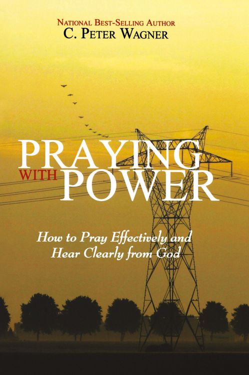 Produktbild: Praying with Power
