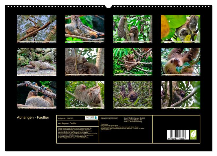 Produktbild: Abh&auml;ngen - Faultier (hochwertiger Premium Wandkalender 2026 DIN A2 quer), Kunstdruck in Hochglanz