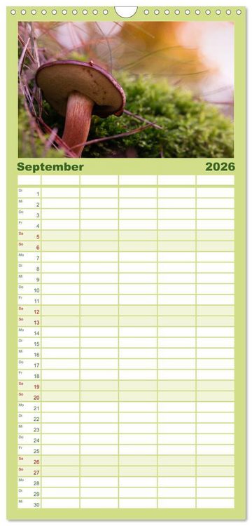Produktbild: Familienplaner 2026 - Pilzmagie mit 5 Spalten (Wandkalender, 21 x 45 cm) CALVENDO