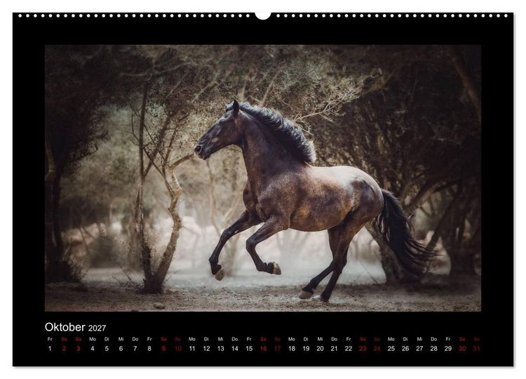 Produktbild: Die Faszinierende Welt der Pferde (hochwertiger Premium Wandkalender 2027 DIN A2 quer), Kunstdruck in Hochglanz