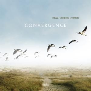 Produktbild: Convergence