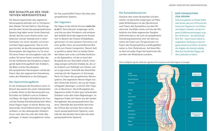 Produktbild: Das Vagus-Training
