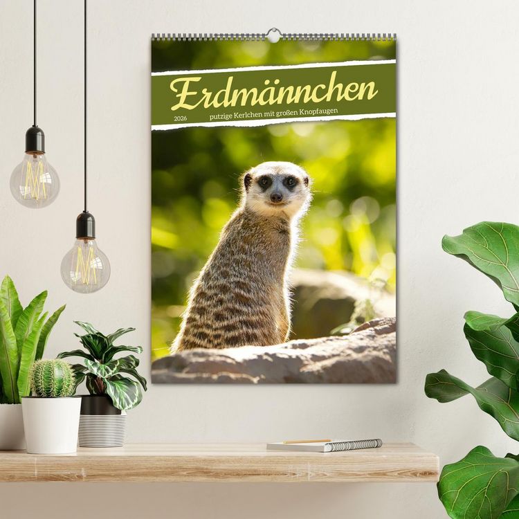 Produktbild: Erdm&auml;nnchen, putzige Kerlchen mit gro&szlig;en Knopfaugen (Wandkalender 2026 DIN A2 hoch), CALVENDO Monatskalender