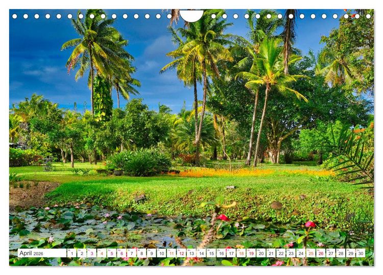 Produktbild: Mauritius - Sch&ouml;nheit im Indischen Ozean (Wandkalender 2026 DIN A4 quer), CALVENDO Monatskalender