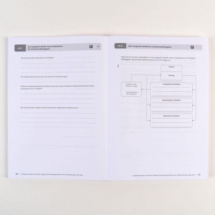 Produktbild: Therapie-Tools St&ouml;rungsmodelle in der Verhaltenstherapie