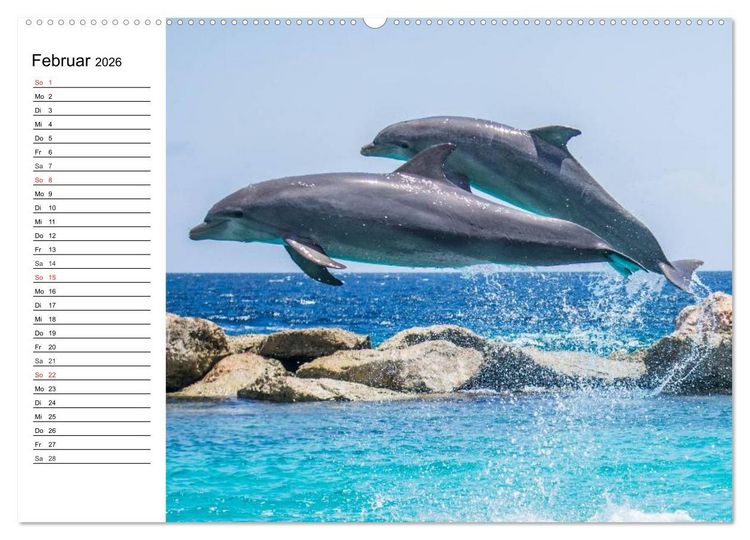 Produktbild: Delfine - L&auml;chelnde Intelligenz (hochwertiger Premium Wandkalender 2026 DIN A2 quer), Kunstdruck in Hochglanz