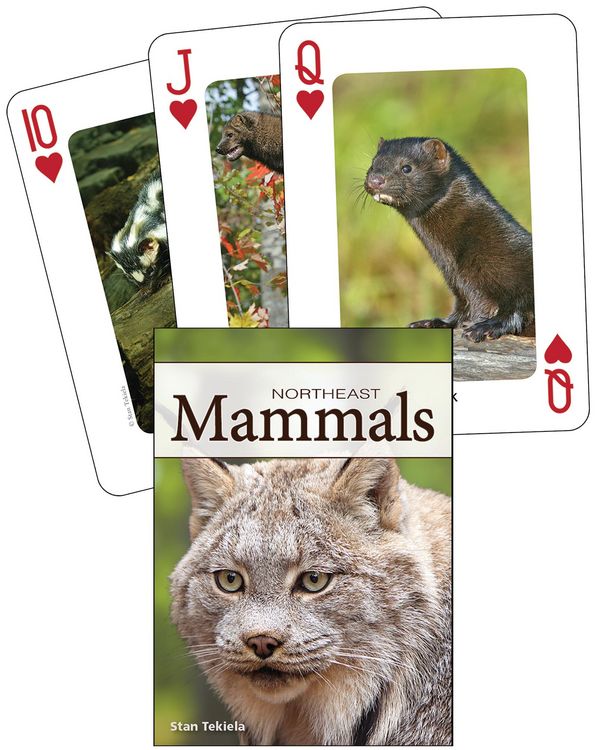 Produktbild: Mammals of the Northeast Playing Cards