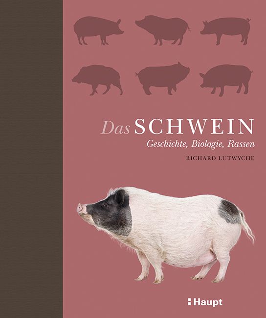 Produktbild: Das Schwein