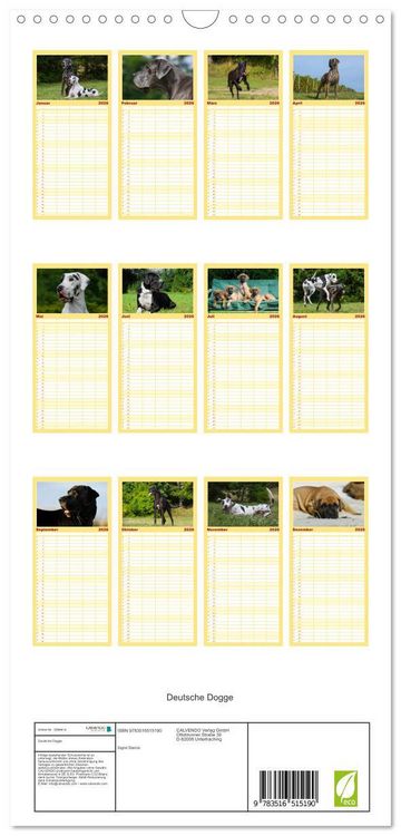 Produktbild: Familienplaner 2026 - Deutsche Dogge mit 5 Spalten (Wandkalender, 21 x 45 cm) CALVENDO