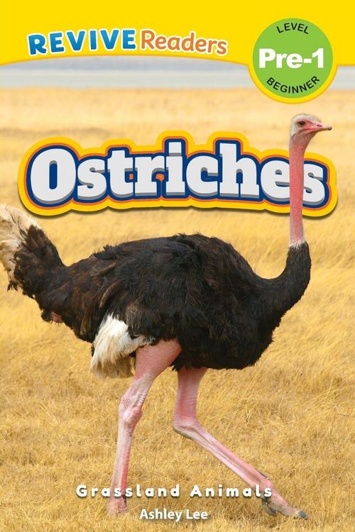 Produktbild: Ostriches