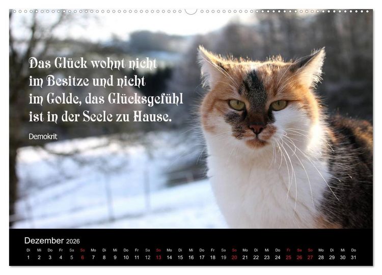 Produktbild: Gl&uuml;ckskatze - Mit Zitaten zum Thema Gl&uuml;ck (Wandkalender 2026 DIN A2 quer), CALVENDO Monatskalender
