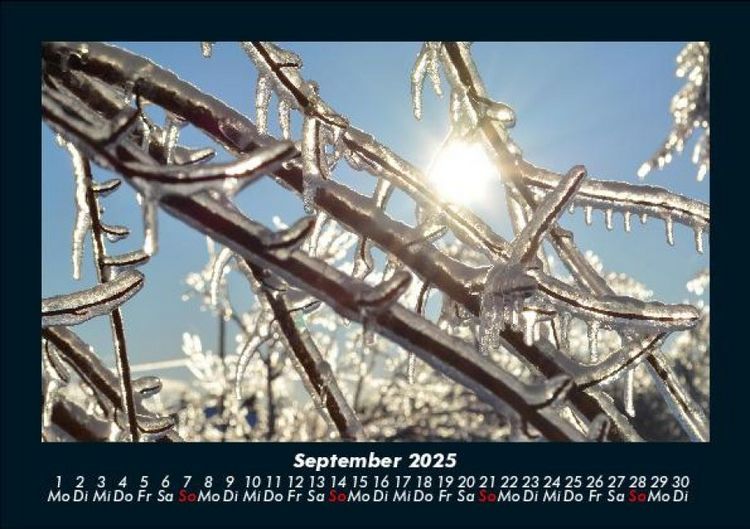 Produktbild: Natur 2025 Fotokalender DIN A5